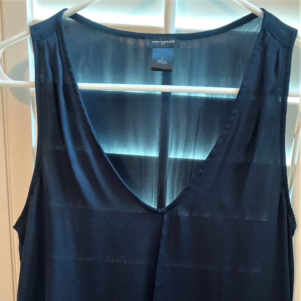 Ann Taylor Indigo Feminine V-Neck Summery